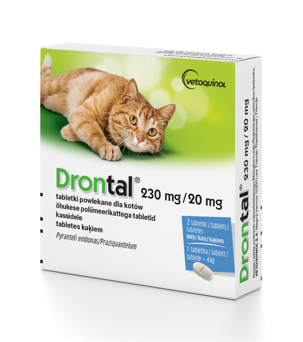 Drontal dla kotów (2 tabletki)