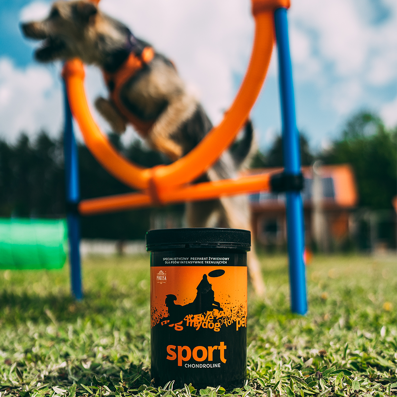POKUSA ChondroLine Sport – dla psów sportowych (350g)