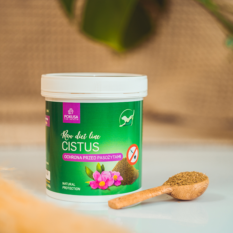 POKUSA RawDietLine Czystek (100g)