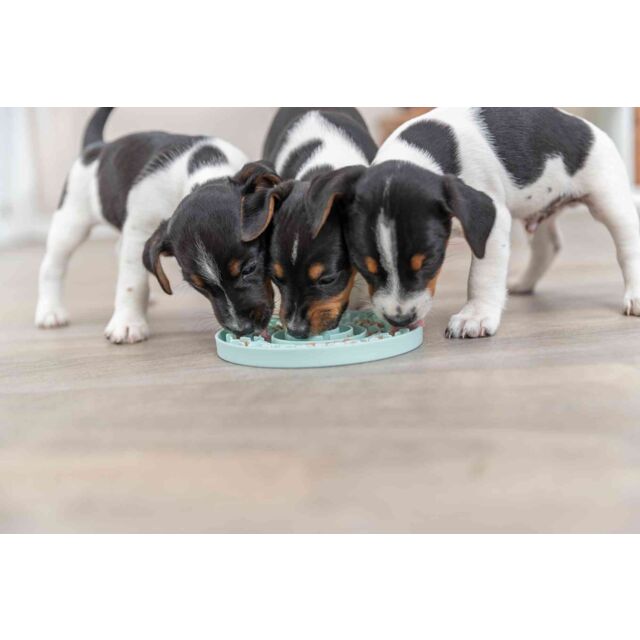 TRIXIE Junior Taca Licking Plate