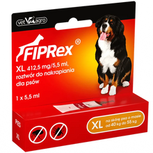 Fiprex dla psa