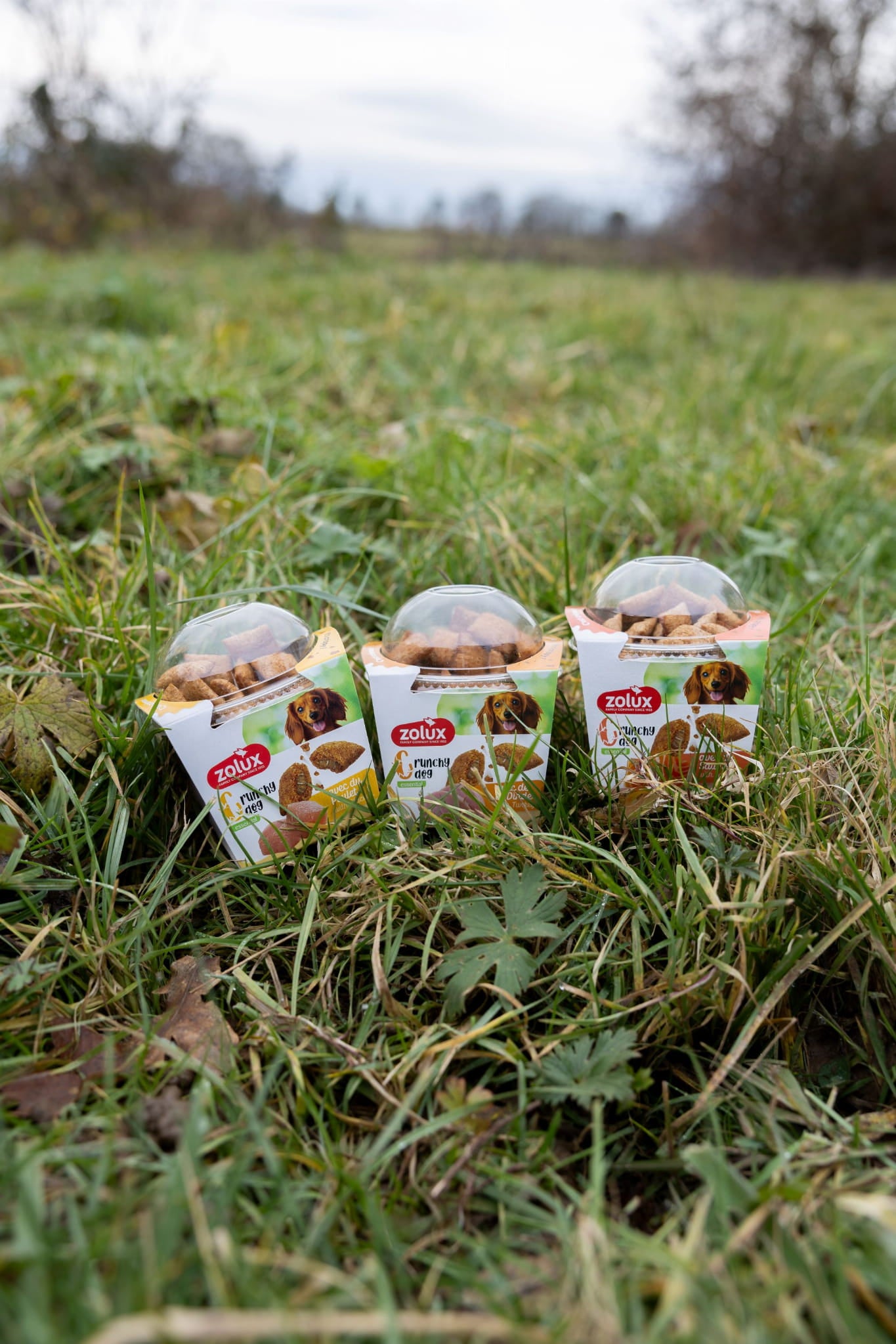 Zolux Crunchy Dog – kurczak (75 g)