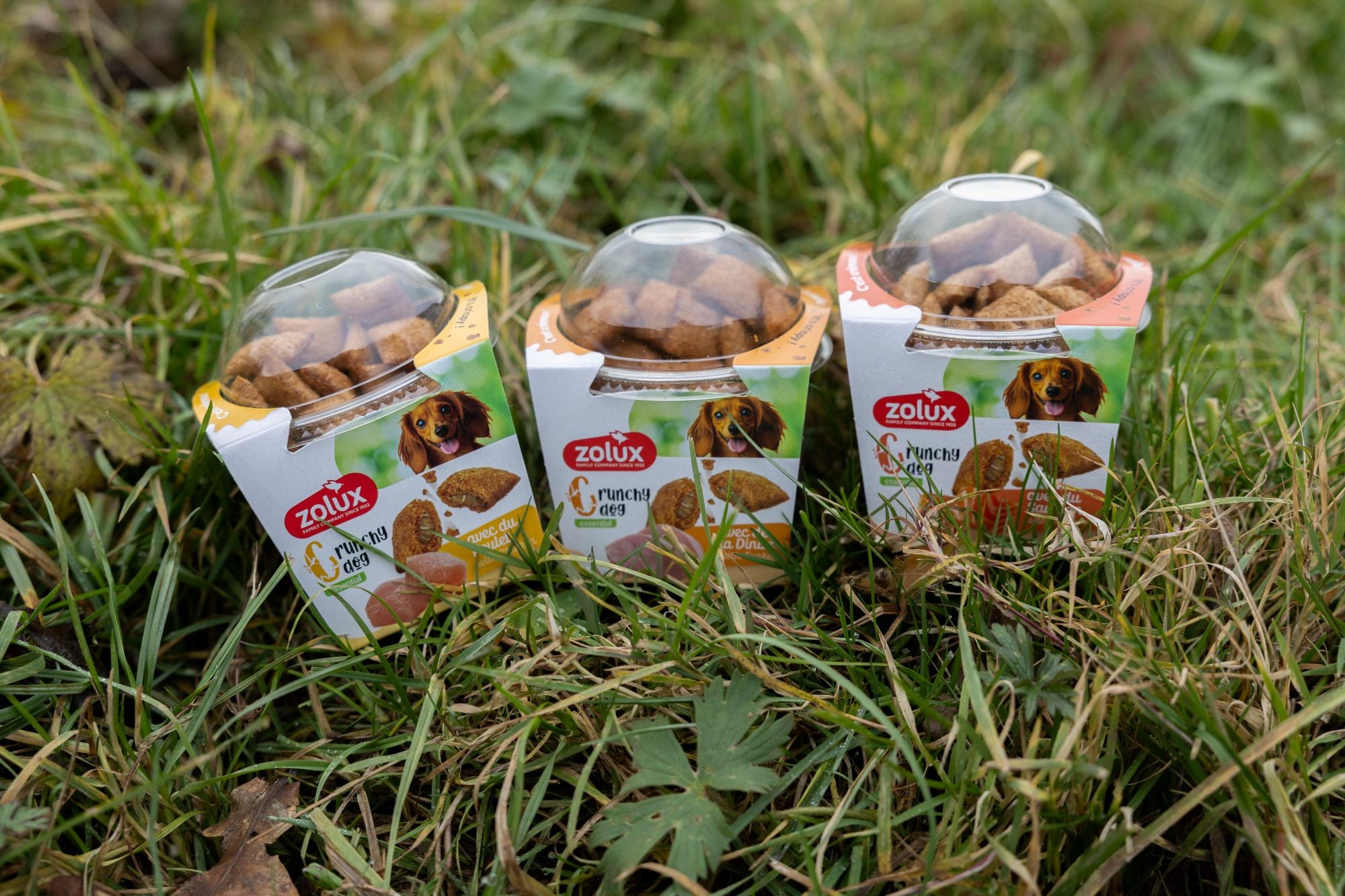 Zolux Crunchy Dog – łosoś (75 g)