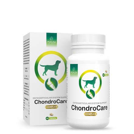 Pokusa ChondroCare – na stawy dla psa dorosłego w tabletkach (120 szt.)