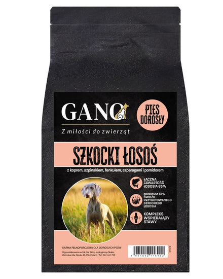 GANO Superfood Szkocki łosoś z warzywami (Wszystkie rasy) – (100g, 2 kg, 12kg)