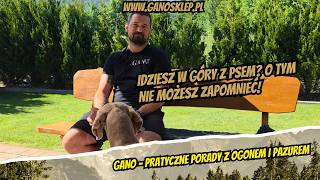 Idziesz w góry z psem? O TYM nie możesz zapomnieć! (miniatura filmu)