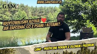 Adoptowaliśmy kotka! Jak zapoznać go z psami i kotami? (miniatura filmu)