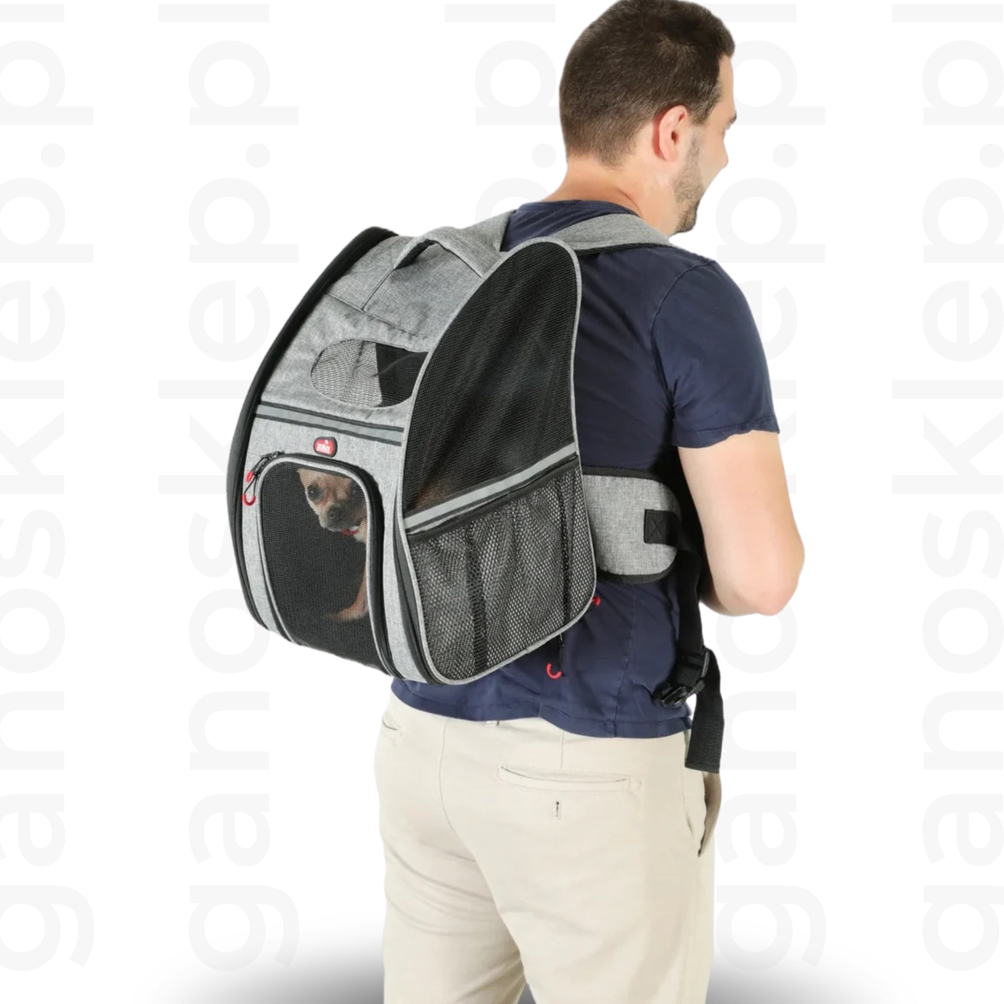 ZOLUX Plecak do transportu psa i kota NOMAD