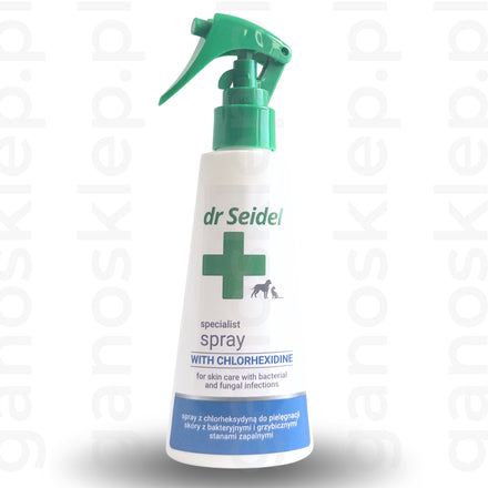 Dr Seidel Spray Chlorheksydyna 4% (100 ml)