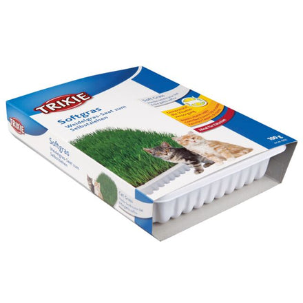 TRIXIE trawa dla kota w pudełku (100g)