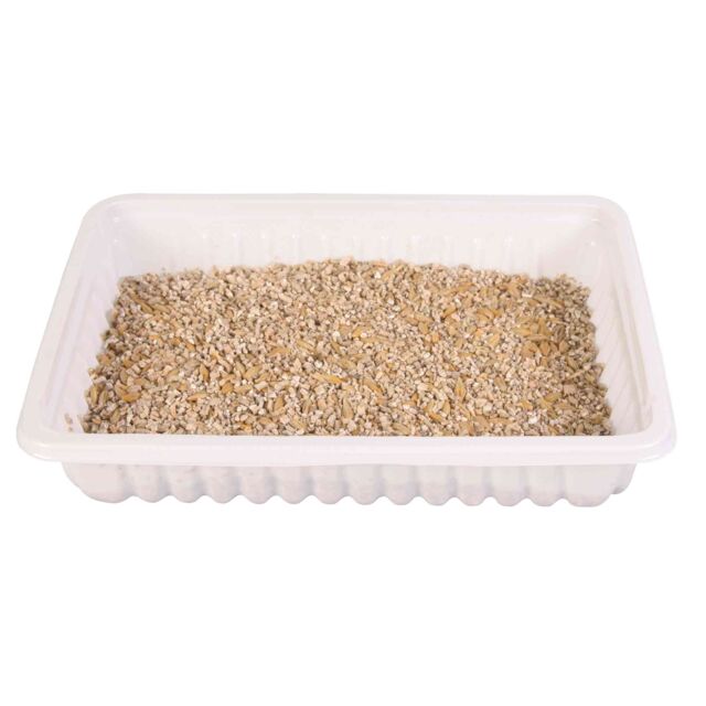 TRIXIE trawa dla kota w pudełku (100g)