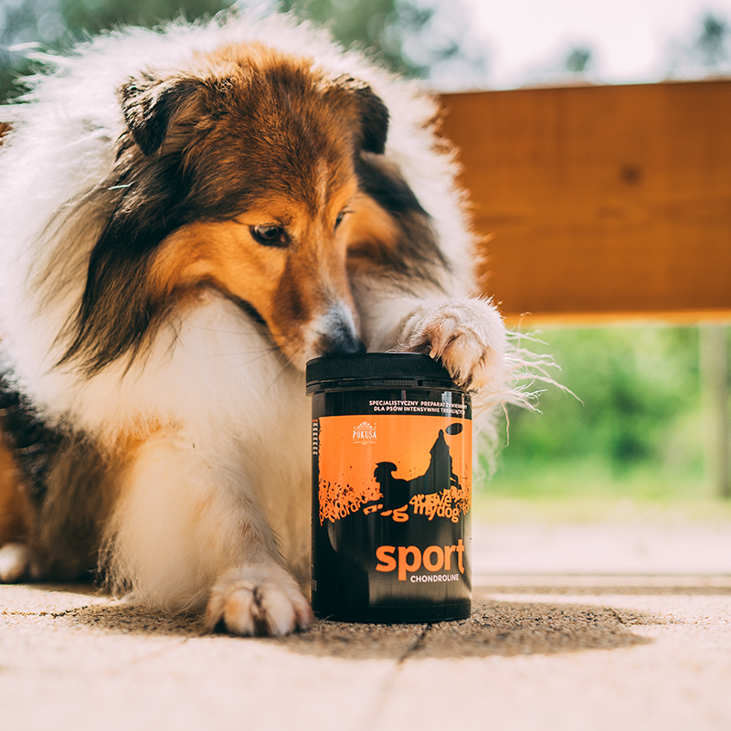 POKUSA ChondroLine Sport – dla psów sportowych (350g)