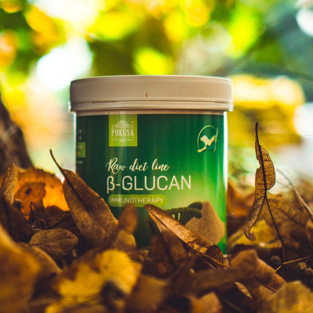 POKUSA RawDietLine B-Glucan (250g)