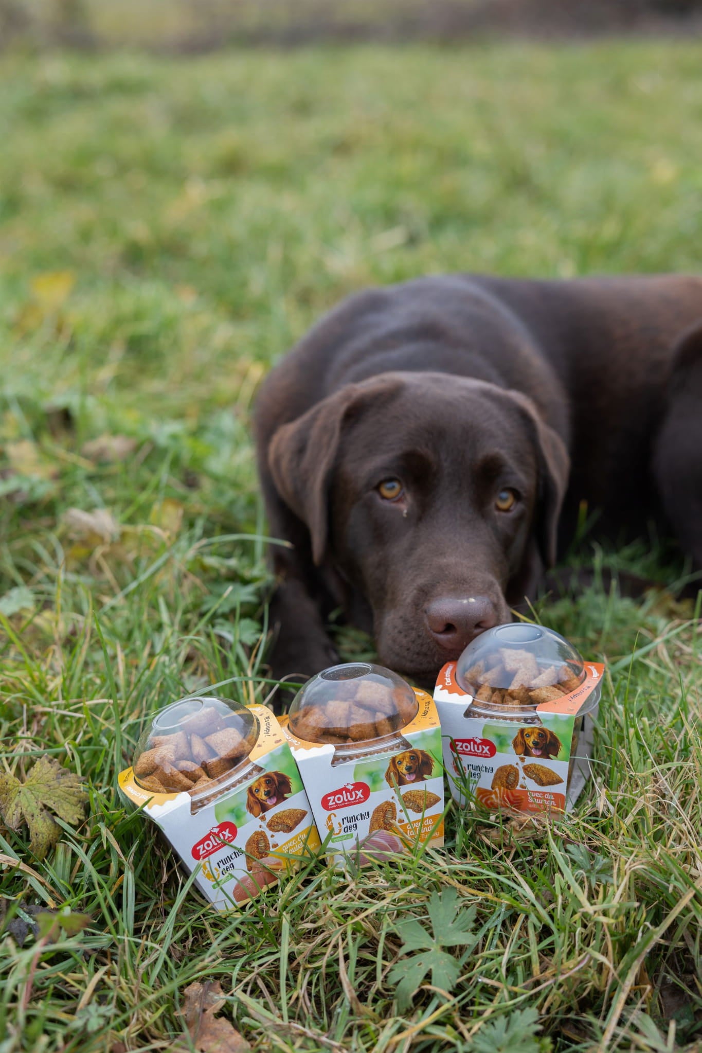 Zolux Crunchy Dog – indyk (75g)