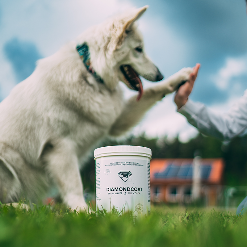 Pokusa DiamondCoat – na białą sierść dla psa (100 g)