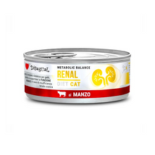 DISUGUAL CAT RENAL Wołowina (85g)