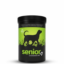 POKUSA ChondroLine Senior – na stawy dla psa (350g)