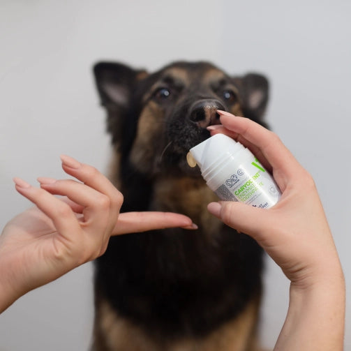 Vet Exper Caryodent Enzymatic Toothpaste – enzymatyczna pasta do zębów dla psa i kota (50 ml)